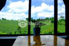 Cần bán lô đất dt 655m2 tiểu khu hoa ban mộc châu giá rẻ