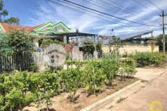 Bán 2 lô đất liền kề rộng 8m tại hải thượng