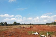 Dự án đầu tiên có 1500 tại thị trấn đất đỏ tỉnh bà rịa vũng tàu