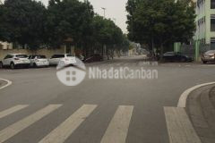 Đất đẹp kinh doanh tốt phố kẻ tạnh giang biên dt 156m2. gía 99 triệu m2