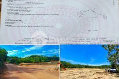 Thu đi để lại lá vàng, ai lên đồng tiến nhặt tiền chơi xuân