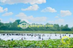 Bán đất quảng trịđất nền cách khu du lịch sinh thái trằm trà lộc 200m 6xx,0914004234