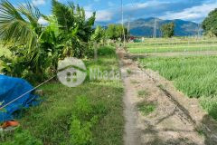 Bán đất làm vườn diên sơn giá rẻ