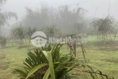 Đất nền sa pa đón sóng quy hoạch khu du lịch quốc gia tả phìn sa pa