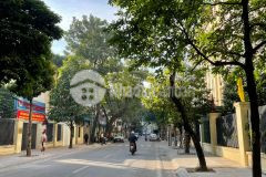 Nhà mặt phố nguyễn bỉnh khiêm, kinh doanh đỉnh, vỉa hè 41m2 6 tầng mặt tiền 5,1m 21,5 tỷ.