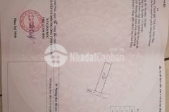 Cần bán lô đất 224m2 tại trại giao khai quang vĩnh yên với giá rẻ bất ngờ.