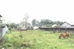 Đất nền ven đông hà giá rẻ. đất cam an, cam lộ