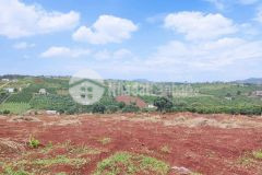 Bán đất nam hà giá rẻ, 950 triệu 0 620m2, 100m2 thổ cư