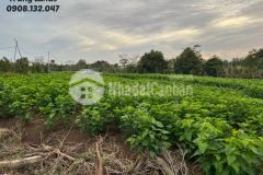 Bán 1000 m2 đất xuân sơn, châu đức, brvt giá 1.3 tỷ. trung 0908.132.047