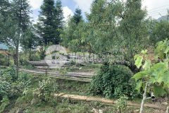 Bán lô đất 1200m taih phìn hồ y tý lào cai sapa 2