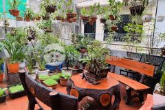 Bán nhà phố khương trung, quận thanh xuân 72m2, 3 tầng, 2 thoáng. giá 5.555 tỷ