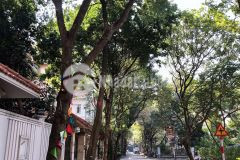 Biệt thự kim đồng đẳng cấp 160m2 mt9m nhỉnh 19 tỷ lh khánh trần 0972858666 mua ngay.