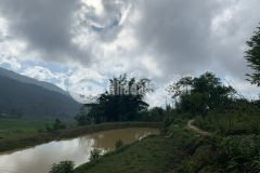 Bán lô đất 1200m2 tại thôn giàng tra tả phìn sapa lào cai.