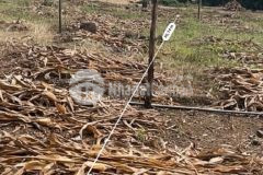 Bán 1000 m2 đất tân giao, xã láng lớn, châu đức,brvt giá 2 tỷ. trung 0908.132.047