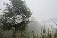 Đất nền sapa đón sóng du lịch bán lô đất 400m2 tại thôn lủ khấu