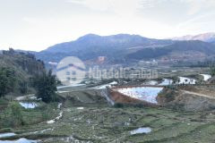 Đón sóng quy hoạch sapa đi nhanh mảnh đất 350m2 tại giàng tra