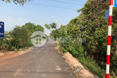 Bán 2723,9m2 đất 2mt đường nhựa đối diện kdl sinh thái vườn trái cây trung an. 0393296958