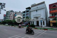 Bán gấp lô đất khu làng việt kiều châu âu, 32m2, ô tô đỗ cửa, nhỉnh 4 tỷ