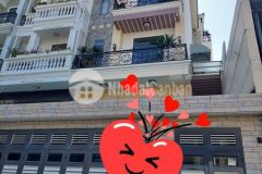 Hxt hoang bât đat 129m2,tân binh,gia 18.2 ty