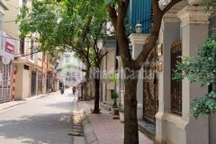 Biệt thự nguyễn đức cảnh 180m2 nhỉnh 19 tỷ vỉa hè, kinh doanh lh khánh trần 0972858666 để được tư vấ