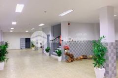 Bán nhà hxh, ngang khủng 7m, gò vấp, chỉ 7.5 tỷ, 0961782649