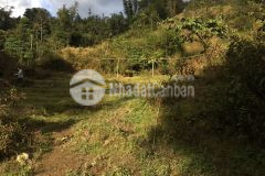 Đất nền sapa bán siêu phẩm đất 500m2 tại tả phìn