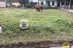 Mua bán nhà đất quảng trị, đất ven đông hà, mỹ kiên, triệu giang quảng trị 0941076225