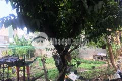 Bán nhà đường thơi an 11, phường thơi an, quận 12, giá 10, 5 tỷ.