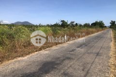 Bán 116x80 11 tỷ ngô thì nhậm tân tiến lagi