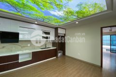 Nhà bán quận 11 hẻm xe hơi, cực rẻ, 80.5m2, ngang 4m, vuông vức, 7 phòng