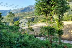 Bán 1200m2 sín chải, y tý, lào cai