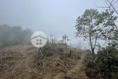 Đất nền sapa đón sóng hoàn thiện du lịch bán lô đất 1000m2 tại tả phìn