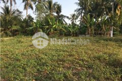 Cần tiền ăn tết bán gấp nền 5x20, sổ hồng