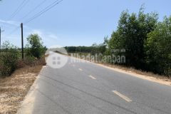 Bán 10x50 4,3 tỷ lê quang định, tân tiến, lagi