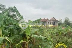 Đất nền giá rẻ mặt tiền xuyên á gio quang, gio linh.