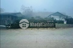 Đón sóng quy hoạch sa pa, sinh lời cao, bán nhanh 220m2 đất trung tâm tả phìn