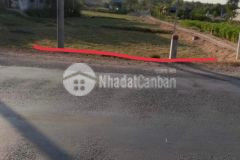 Bán 10x30 6.5 tỷ,tôn đức thắng, tân phước, lagi