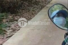 Bán gấp 3.1 ha đất phú riềng, bình phước, sổ riêng, chỉ 9 tỷ. lh 0796552589