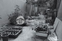 Cần bán gấp đất ngô gia tự 80m, đất, mt 4m, chỉ 5.9 ty