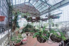 Bán nhà mặt phố đại từ kinh doanh sầm uất dt 100m2 4 tầng mt 6m giá nhỉnh 15 tỷ