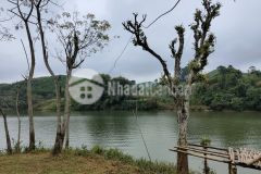 Bán nhanh 2947 m2 có 400 thổ cư bám hồ giá 2.5 tỷ