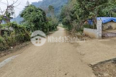 Bán nhanh 800m có 300 thổ cư giá 550tr