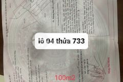 Bán đất rẻ ở đà nẵng diện tích rộng không mồ mả không