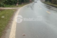 Bán nhanh 3000m bám quốc lộ 6 giá rẻ nhất khu vực