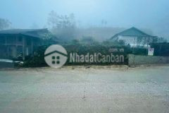 Khai xuân đón sóng tả phìn sapa