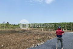 Dt 1150 m2 đất vườn ao cực đẹp, cần tien bán 7xx tr