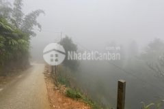 Nhanh tay quy hoạch tả phìn