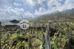 Đón đầu sóng quy hoạch sapa bán mảnh đất siêu đỉnh tại tả phìn