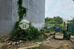 Cần bán gấp lô đất 100m2 ở hóc môn giá chỉ 920 triệu