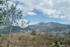 Bán gấp lô đất đẹp 200m2 tại tả phìn, sapa đón sóng quy hoạch